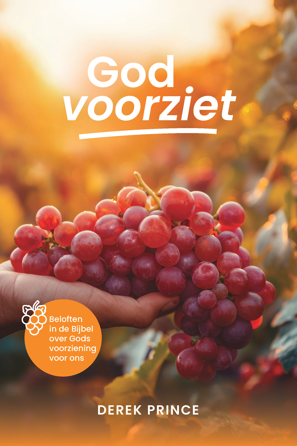 God voorziet - Derek Prince (Paperback)